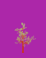 greenshift tree