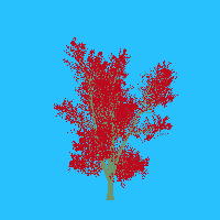 greenshift tree