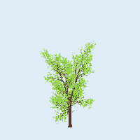 greenshift tree