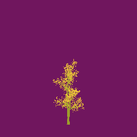 greenshift tree