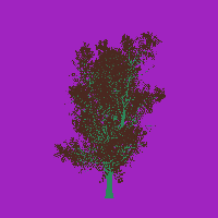 greenshift tree