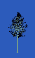 greenshift tree