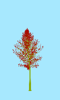 greenshift tree
