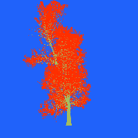 greenshift tree