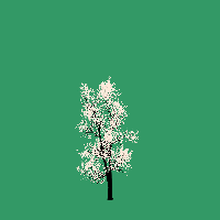 greenshift tree
