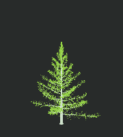 greenshift tree