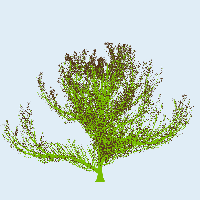 greenshift tree