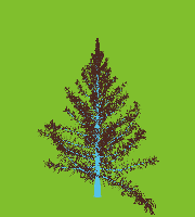 greenshift tree
