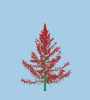 greenshift tree