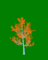 greenshift tree