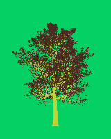 greenshift tree