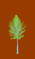 greenshift tree
