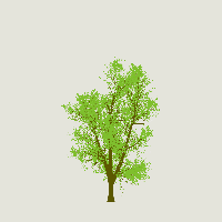 greenshift tree