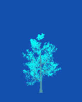 greenshift tree