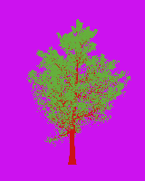 greenshift tree