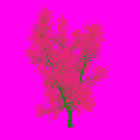 greenshift tree