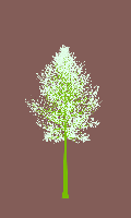 greenshift tree