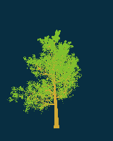 greenshift tree