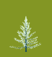 greenshift tree