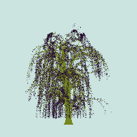 greenshift tree