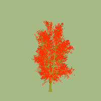 greenshift tree