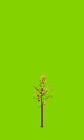 greenshift tree
