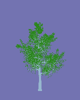 greenshift tree