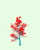 greenshift tree