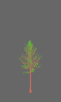 greenshift tree