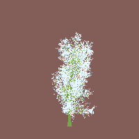 greenshift tree