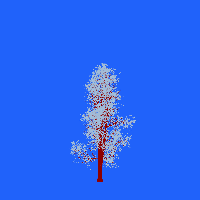 greenshift tree