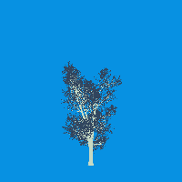 greenshift tree