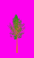greenshift tree