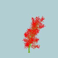 greenshift tree