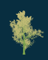 greenshift tree