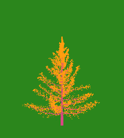 greenshift tree