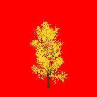 greenshift tree