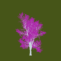 greenshift tree