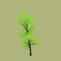 greenshift tree