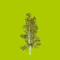 greenshift tree
