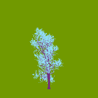 greenshift tree