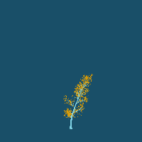 greenshift tree
