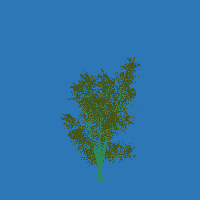 greenshift tree