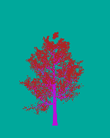 greenshift tree