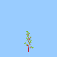 greenshift tree
