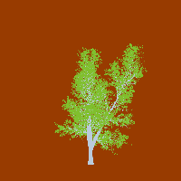 greenshift tree