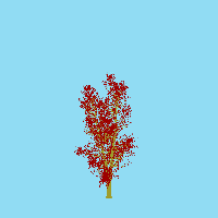 greenshift tree