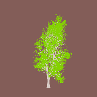 greenshift tree