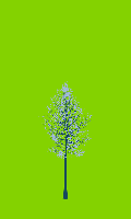 greenshift tree