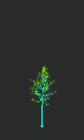 greenshift tree